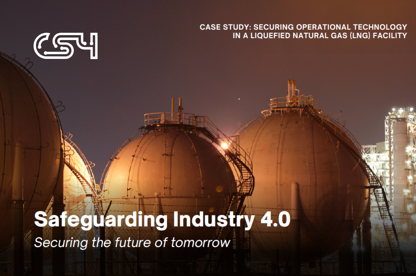 LNG Case Study
